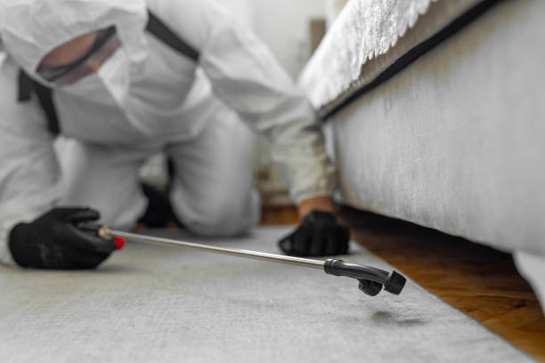 Professional Termite Control technician working in Gifford, FL
