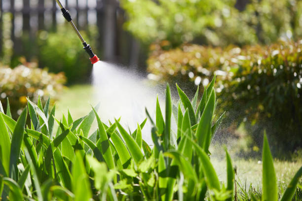 24/7 Emergency Termite Control experts in Gifford, FL